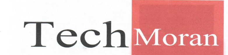TechMoran Limited logo