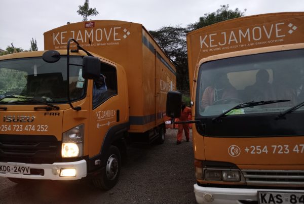 Moving Companies, moving company