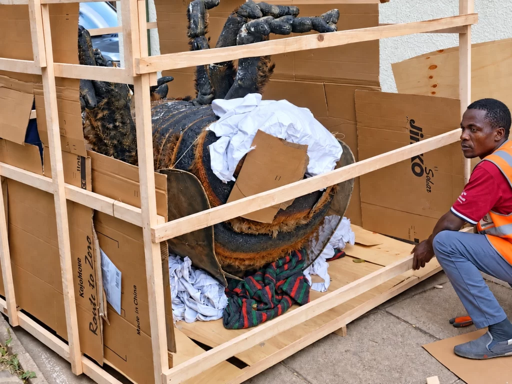 A large bee exhibit being protected inside a custom timber relocation frame